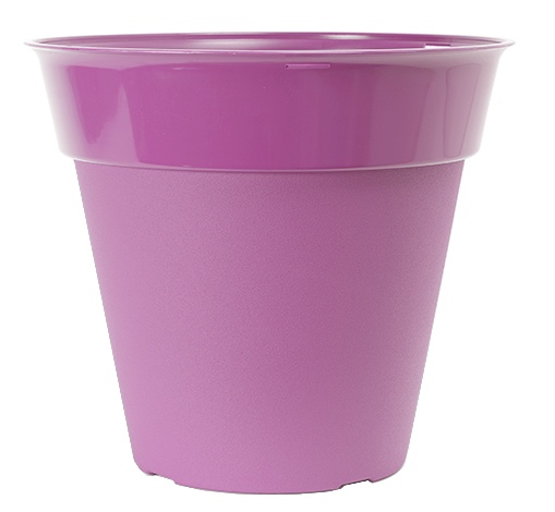 image of lilac purple euro planter