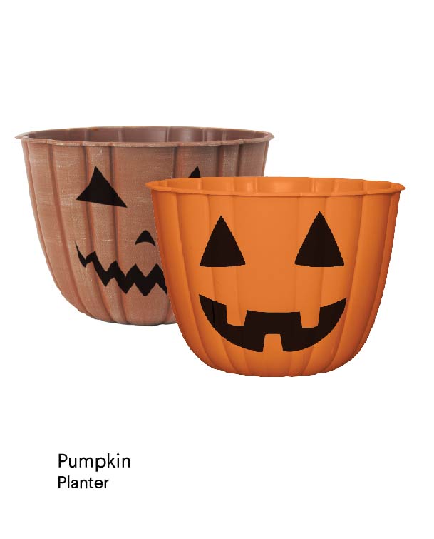 image of pumpkin planter