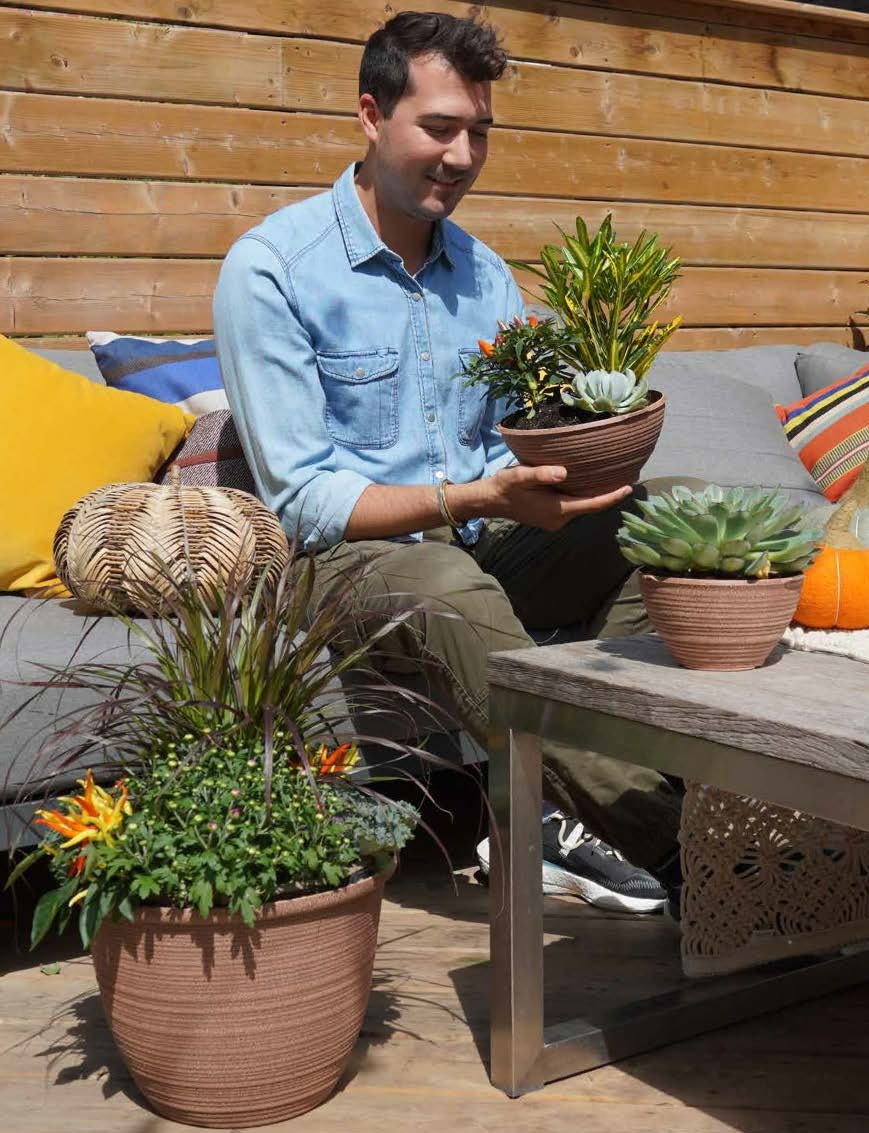 Image of pots of plants