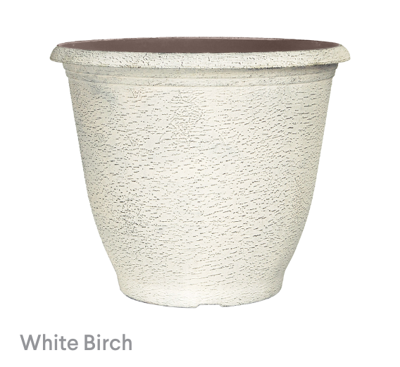 image of White Birch Birch Planters