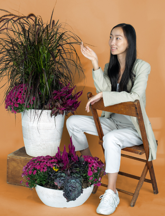 Image of pots of plants