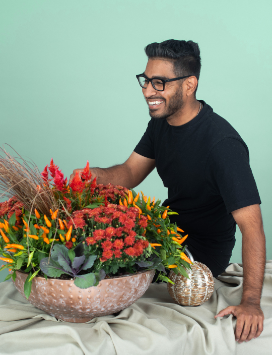 Image of pots of plants