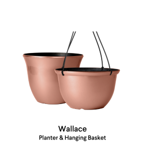 image of Wallace Planters