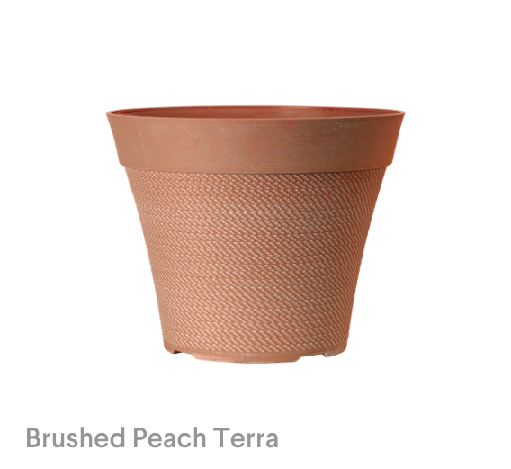 image of Brushed Peach Terra Pacifica